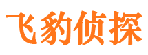 东方市侦探调查公司